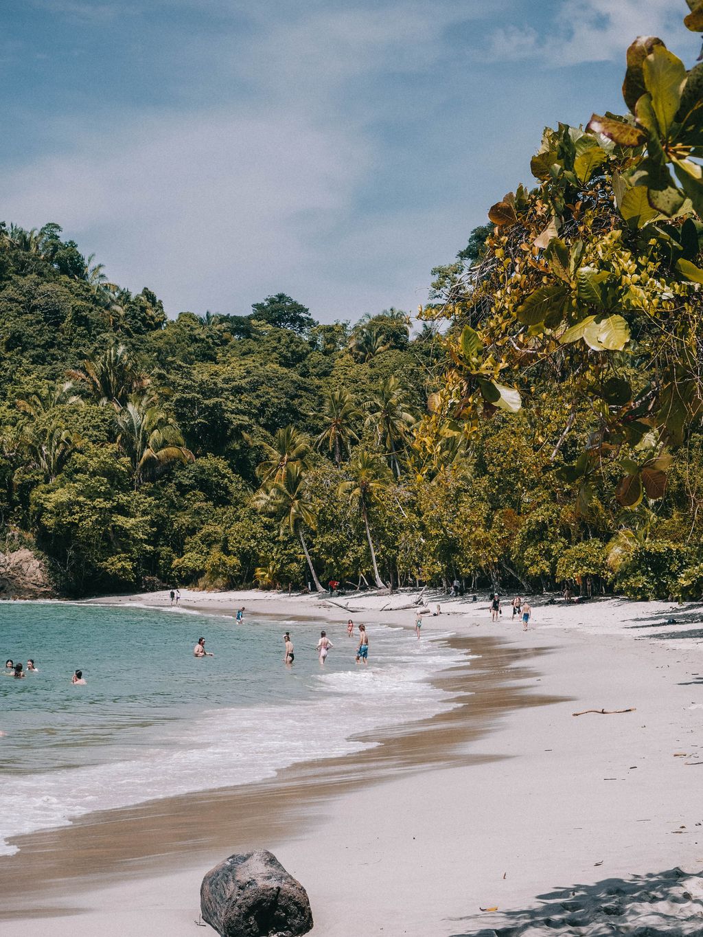 The tropical Manuel Antonio Beach