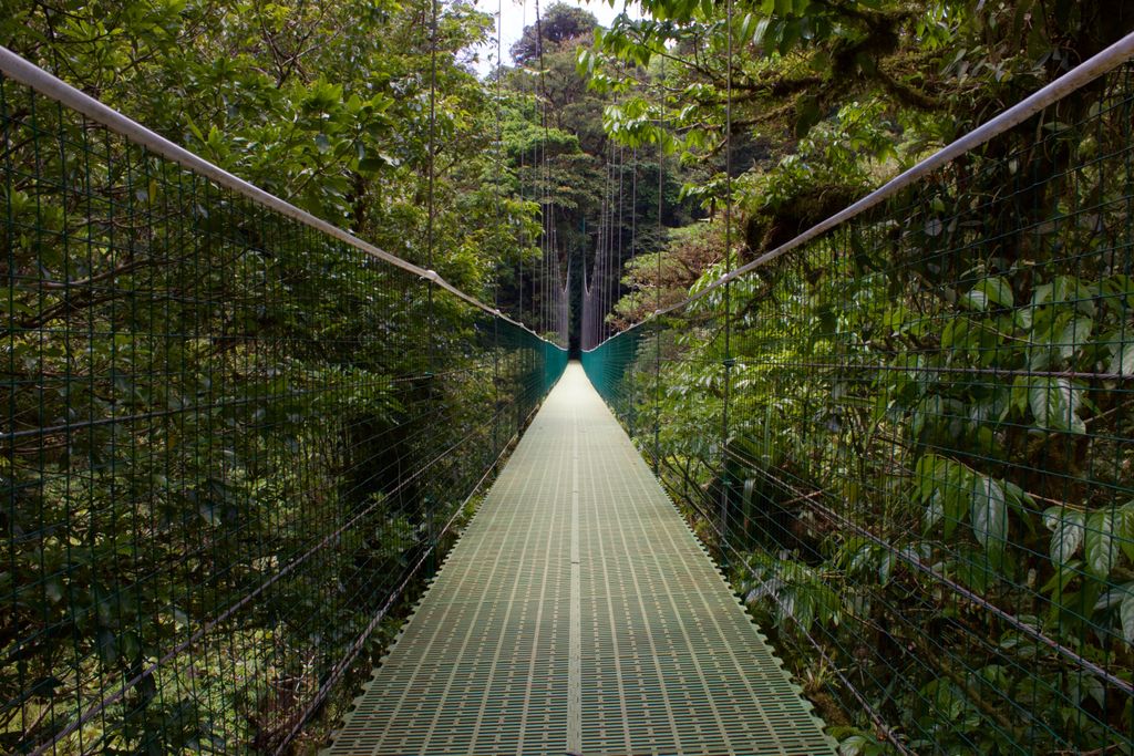 A bridge in the Monteverde reserve park