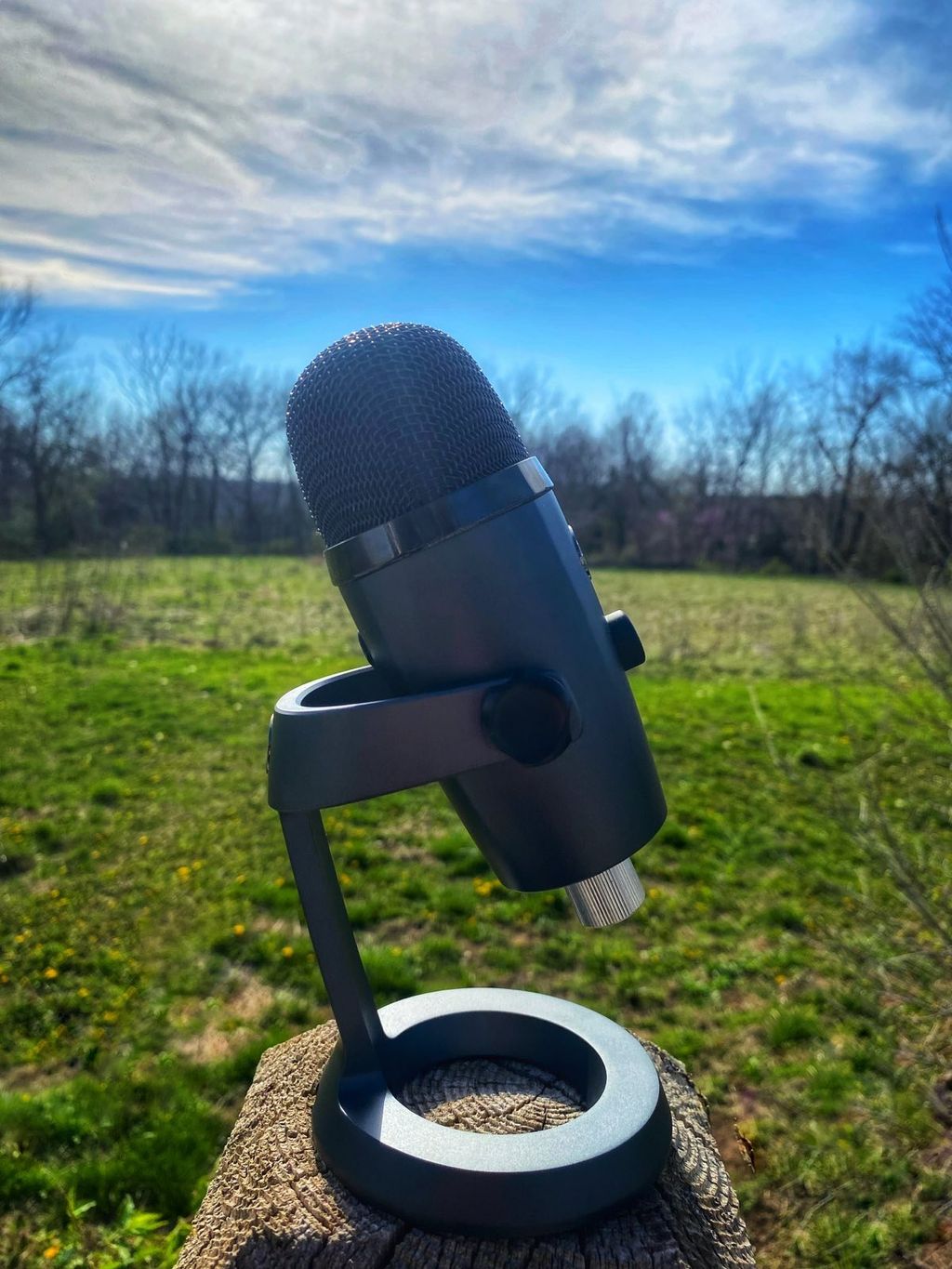 A Microphone and a blue, sunny sky in the background